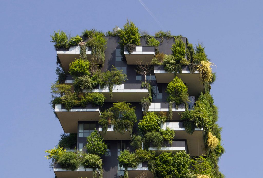 What Makes a Building Truly Sustainable?